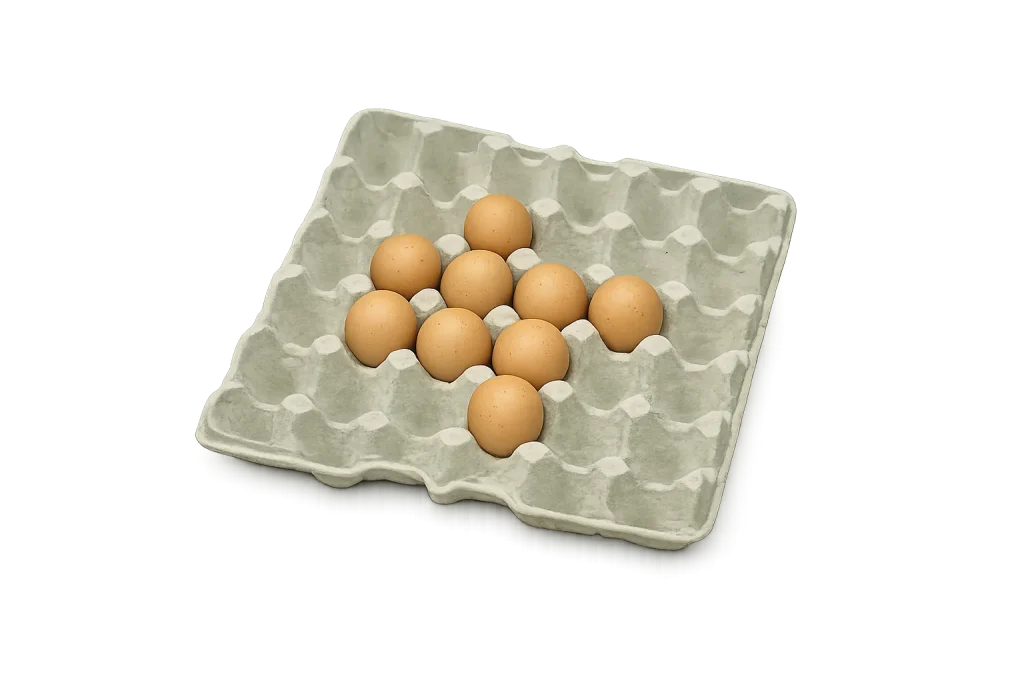 Egg Trays