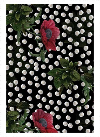 Silk Fabric Printing
